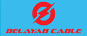 Belayabcable Plc